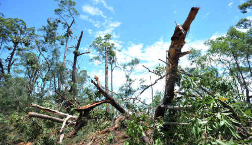 Tough times: Peter Farrell with his son, Alex, cutting up fallen gumtrees at Congarrinni Road North. Tough times: Peter Farrell with his son, Alex, cutting up fallen gumtrees at Congarrinni Road North.